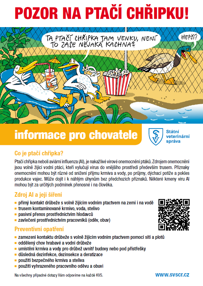info
